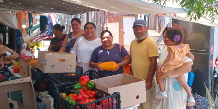 Realizan entrega semanal de frutas y verduras a más de 400 familias en Cabo San Lucas