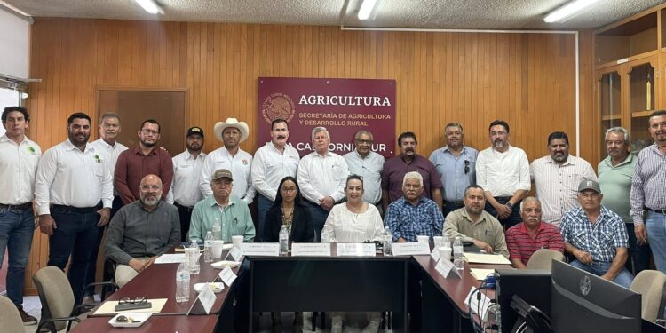 Renuevan la mesa directiva del Comité Estatal de Sanidad Vegetal
