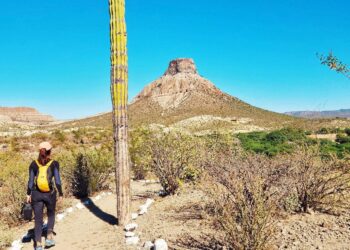 SETUE BCS invita a registrar proyectos turísticos comunitarios en guía nacional