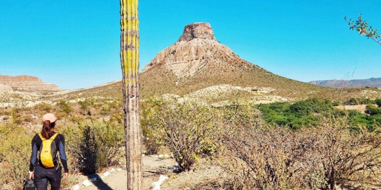 SETUE BCS invita a registrar proyectos turísticos comunitarios en guía nacional