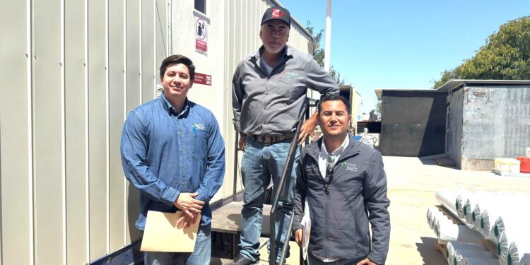 Promueven ofertas de empleo seguras en Vizcaíno y el Valle de Santo Domingo