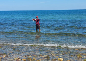 Playas de BCS limpias y seguras para vacacionistas y locales