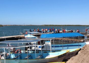 Inicia programa de capacitación en Puerto Chale, rumbo a la temporada de avistamiento de ballena 2026 