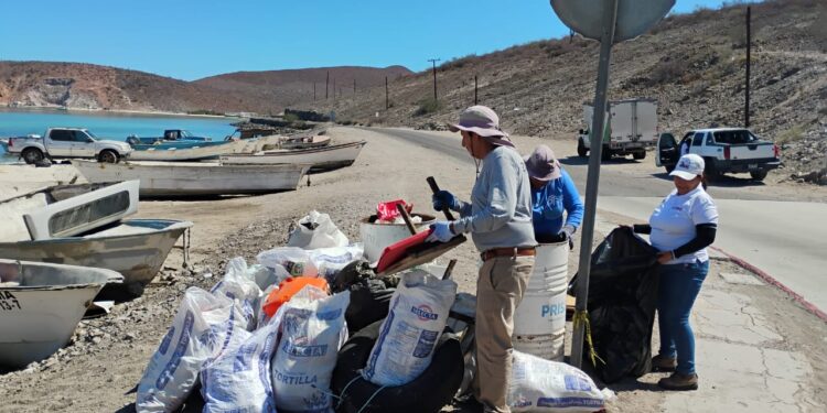 Recolecta Zofemat más de 9 toneladas de residuos en playas de La Paz