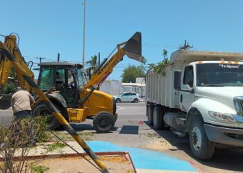 Más de 240 toneladas de residuos recolectados en trabajos de limpieza