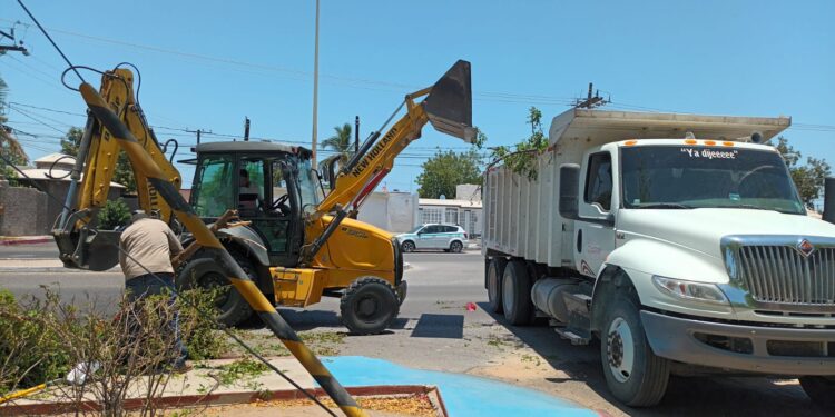 Más de 240 toneladas de residuos recolectados en trabajos de limpieza