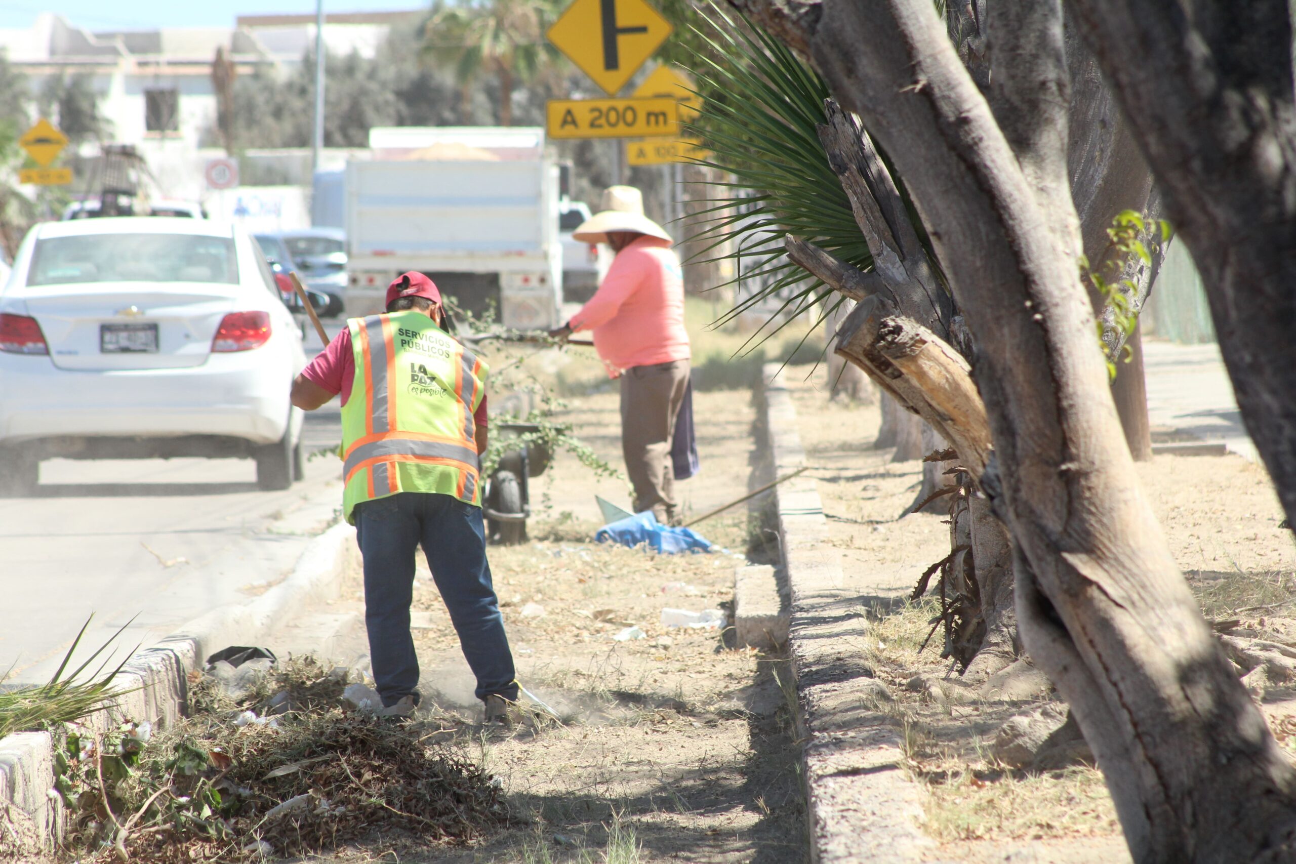 Servicios Públicos recolecta más de 230 toneladas de residuos