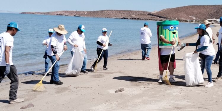 Participa la Dirección de Sustentabilidad en la limpieza de las playas Eréndira y El Sonorense