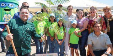 Encabeza Milena Quiroga jornada “Más árboles, menos plástico”, con siembra de árboles en el Palacio Municipal de La Paz