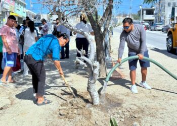 Realizan jornada de limpieza y reforestación en la colonia Leonardo Gastélum, en Cabo San Lucas