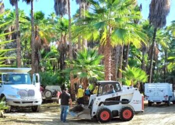 Realizan jornada de trabajo en Oasis de Santiago para fortalecer acciones ambientales