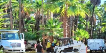 Realizan jornada de trabajo en Oasis de Santiago para fortalecer acciones ambientales