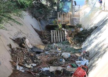 Van 43 jornadas de descacharrización en 18 colonias de Cabo San Lucas