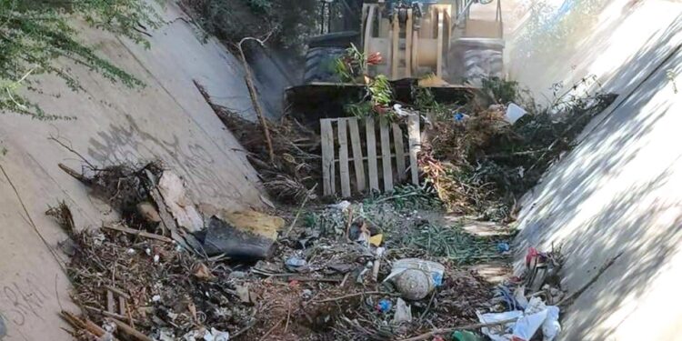 Van 43 jornadas de descacharrización en 18 colonias de Cabo San Lucas