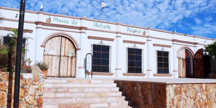 Ofrece Museo de Historia Natural clases gratuitas de inglés en Cabo San Lucas