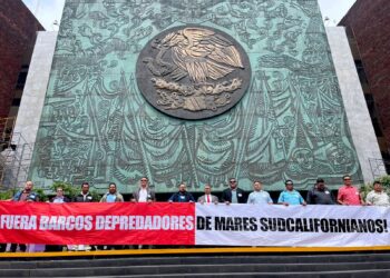 Reafirma Los Cabos compromiso con la pesca deportiva y ribereña ante la Cámara de Diputados