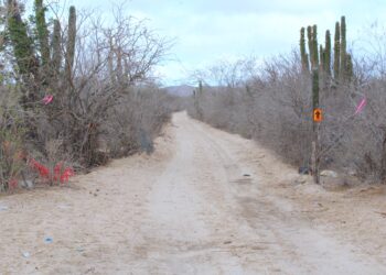 Realizan recorrido por la ruta de la carrera “Cabo 250” en Cabo San Lucas