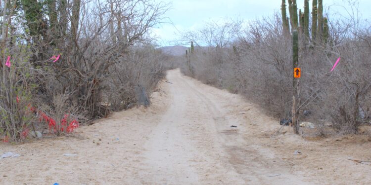 Realizan recorrido por la ruta de la carrera “Cabo 250” en Cabo San Lucas