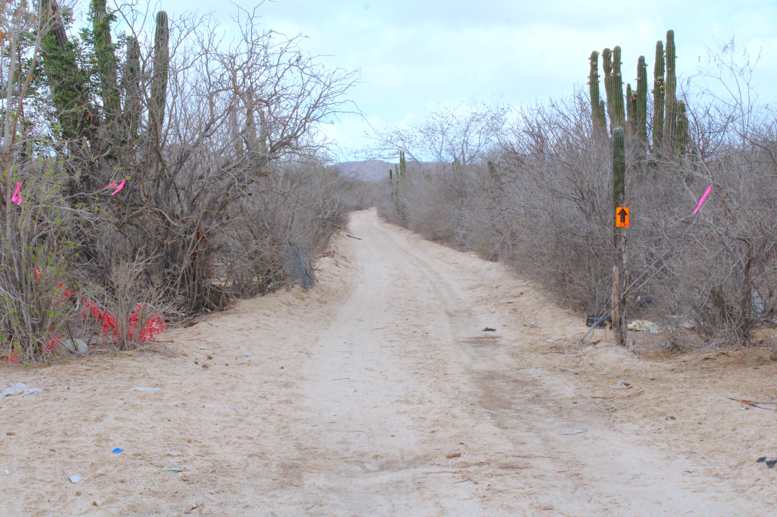 Realizan recorrido por la ruta de la carrera “Cabo 250” en Cabo San Lucas