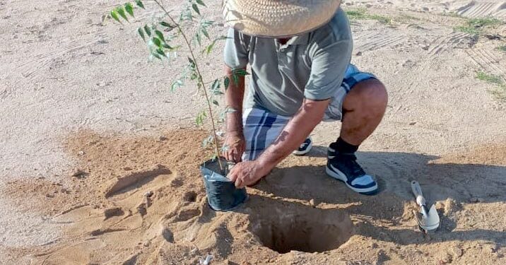 Reforestan campo deportivo en Las Veredas; avanza rescate de espacios públicos