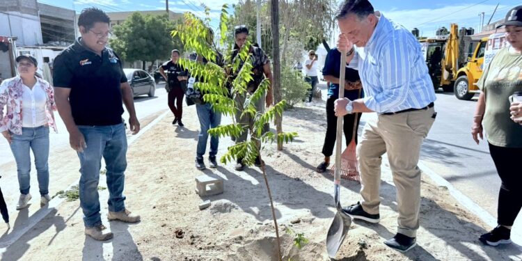 Reforestan campo deportivo en Las Veredas; avanza rescate de espacios públicos