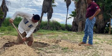 Atiende Ayuntamiento de Los Cabos denuncia ciudadana en materia de protección a la tortuga marina
