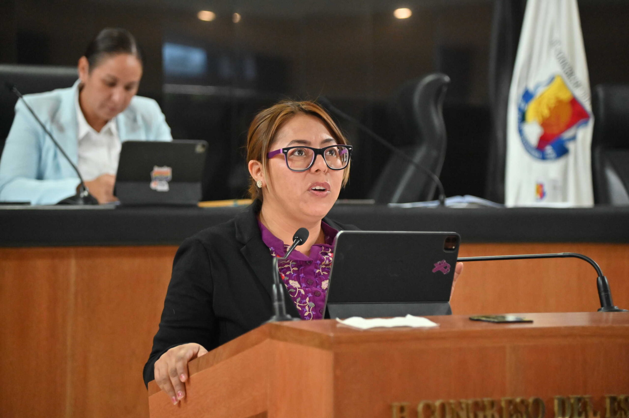 Propone diputada Teresita Valentín armonización de uso seguro de internet para NNA