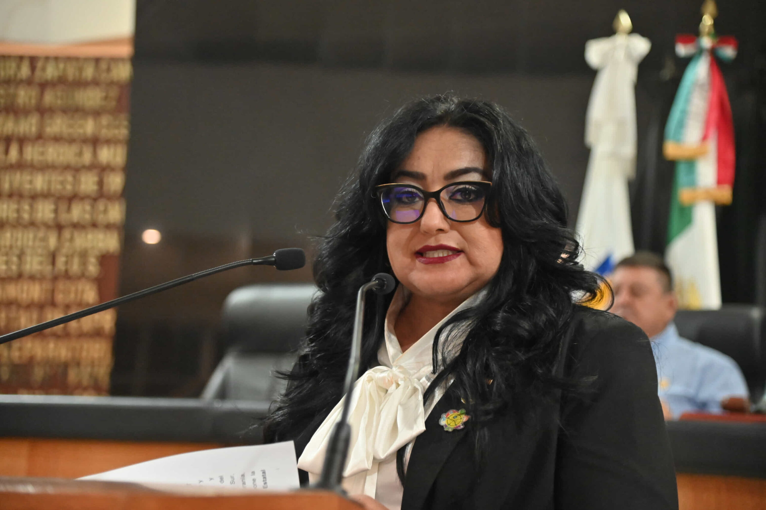 Propone diputada Dalia Collins mayores facilidades para la movilidad de las personas con discapacidad