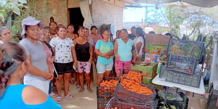 Realizan donación de frutas y verduras a familias de colonia Caribe Bajo en Cabo San Lucas