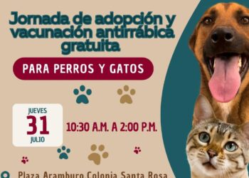 Realizarán en San José del Cabo jornada de adopción y vacunación antirrábica para perros y gatos
