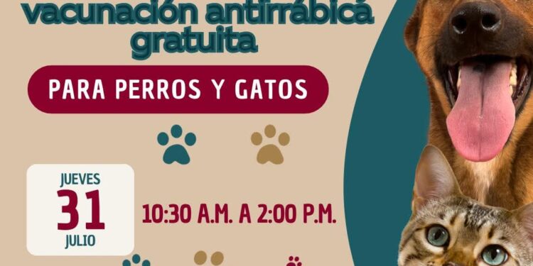Realizarán en San José del Cabo jornada de adopción y vacunación antirrábica para perros y gatos