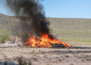 Incineran drogas incautadas en operativos de la Mesa de Paz y Seguridad en Baja California Sur