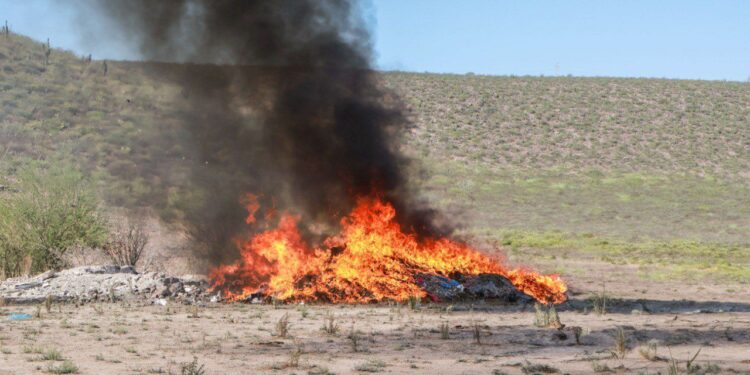 Incineran drogas incautadas en operativos de la Mesa de Paz y Seguridad en Baja California Sur