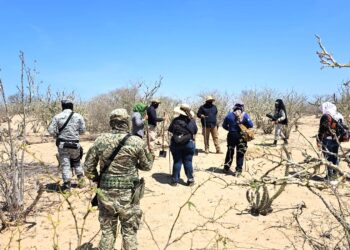 Llevan a cabo jornadas de búsqueda generalizada en La Paz y Comondú