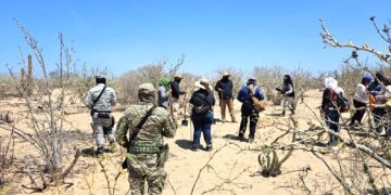 Llevan a cabo jornadas de búsqueda generalizada en La Paz y Comondú
