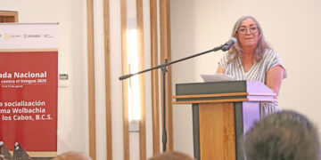 Avala OMS el método Wolbachia que comenzará aplicarse en Los Cabos para prevenir el dengue