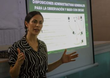 Anuncian la entrada en vigor del primer Plan de Manejo para el aprovechamiento turístico con orcas en Latinoamérica