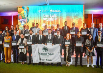 La Paz recibe por segundo año consecutivo el reconocimiento “Ciudad Árbol”