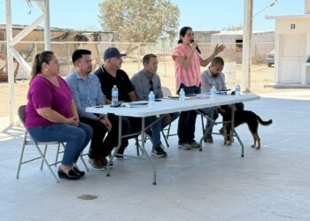 Avanza proyecto de electrificación en Puerto Chale