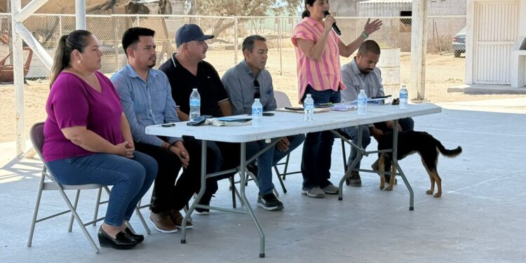 Avanza proyecto de electrificación en Puerto Chale