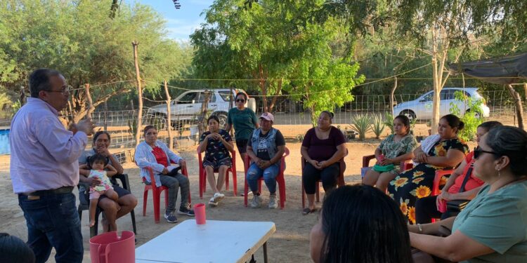 Ofrecen curso gratuito de pollos de engorda y postura en Los Planes