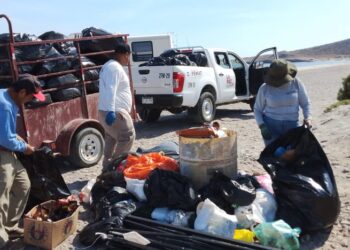 Recolecta Zofemat más de 7 toneladas de residuos en playas de La Paz