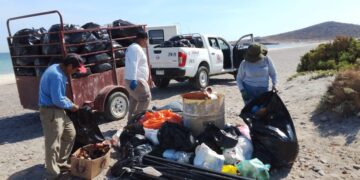 Recolecta Zofemat más de 7 toneladas de residuos en playas de La Paz