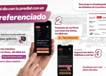 Tesorería de La Paz emite recomendaciones para el pago en línea del predial