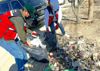 Realizan campaña de limpieza y descacharrización en colonia Miranda en Cabo San Lucas