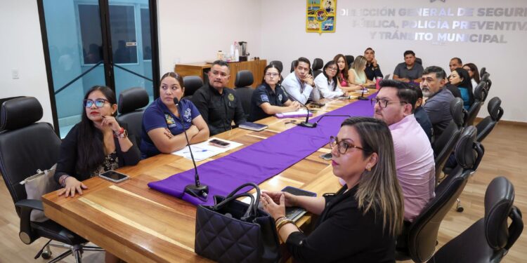 Avanza Seguridad Pública de Los Cabos en el combate a la violencia de género