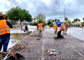 Brigadas de Servicios Públicos realizan limpieza y desazolve en vialidades de San José del Cabo