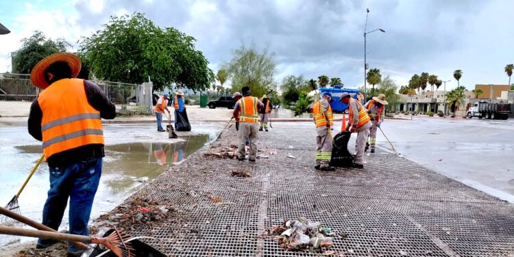 Brigadas de Servicios Públicos realizan limpieza y desazolve en vialidades de San José del Cabo