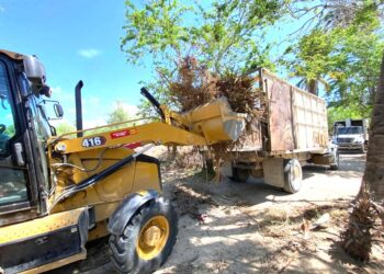 Retira Servicios Públicos más de 32 toneladas de maleza en el Estero de San José del Cabo
