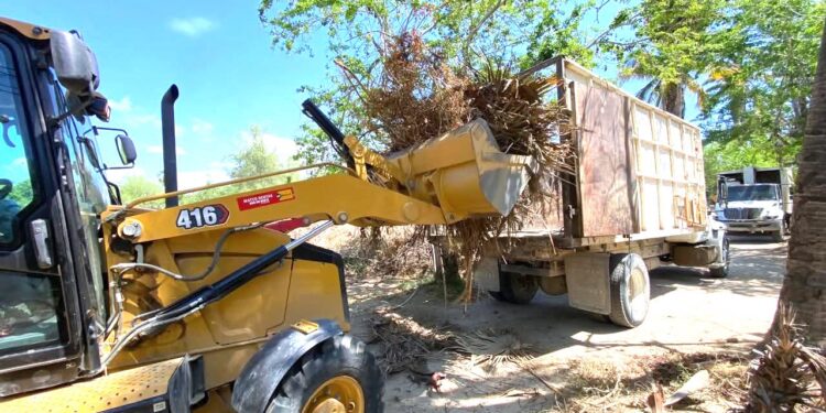 Retira Servicios Públicos más de 32 toneladas de maleza en el Estero de San José del Cabo